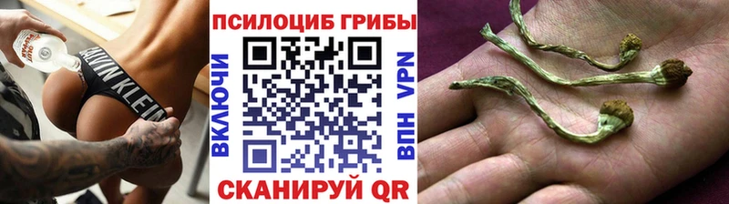 Галлюциногенные грибы Magic Shrooms  Чехов 