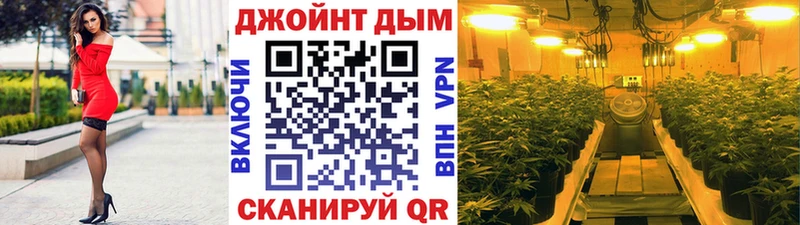 купить наркоту  Чехов  Каннабис план 